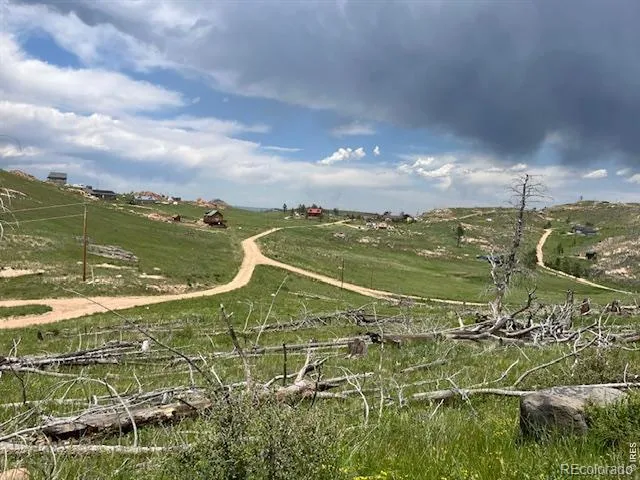 598 Mount Mcconnell Drive Livermore, CO 80536