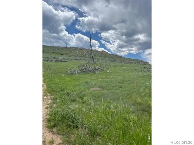 598 Mount Mcconnell Drive Livermore, CO 80536