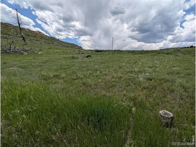 598 Mount Mcconnell Drive Livermore, CO 80536