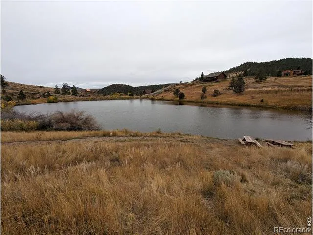 598 Mount Mcconnell Drive Livermore, CO 80536