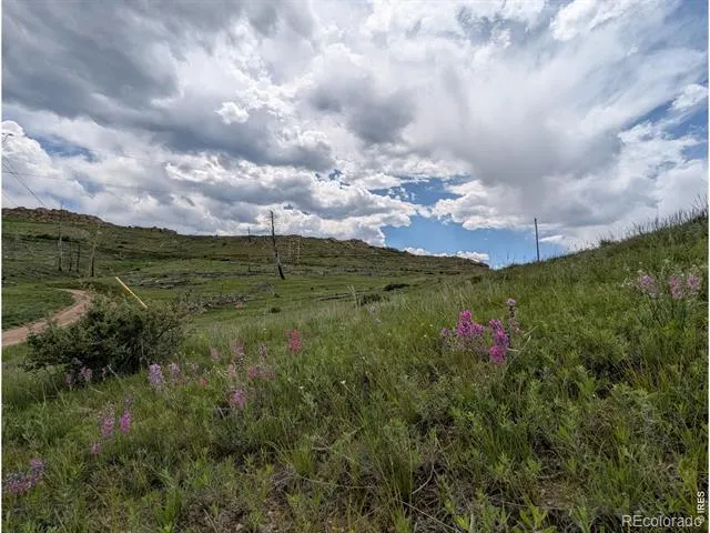 598 Mount Mcconnell Drive Livermore, CO 80536