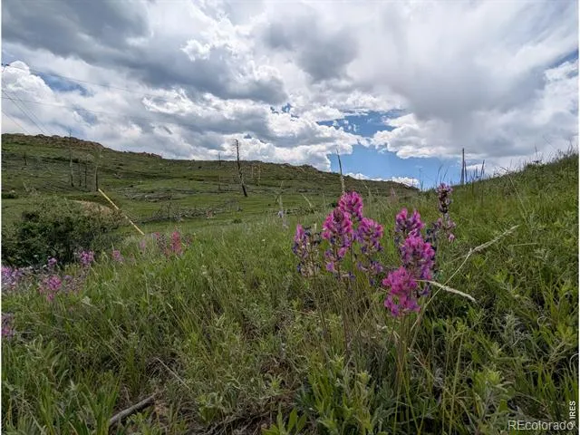 598 Mount Mcconnell Drive Livermore, CO 80536