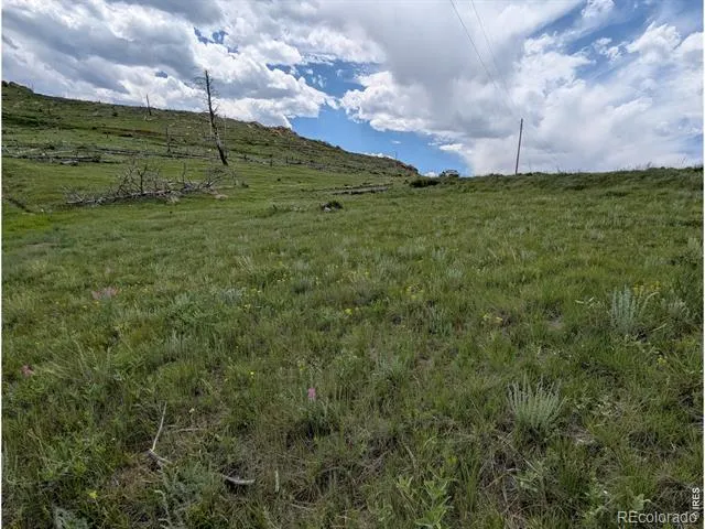 598 Mount Mcconnell Drive Livermore, CO 80536