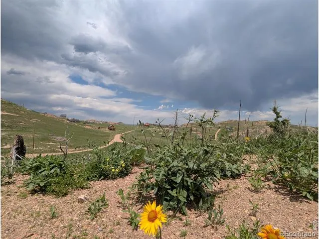 598 Mount Mcconnell Drive Livermore, CO 80536