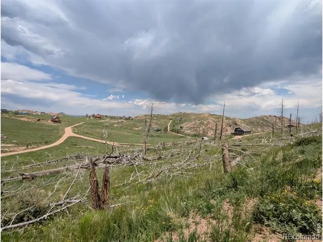 598 Mount Mcconnell Drive Livermore, CO 80536