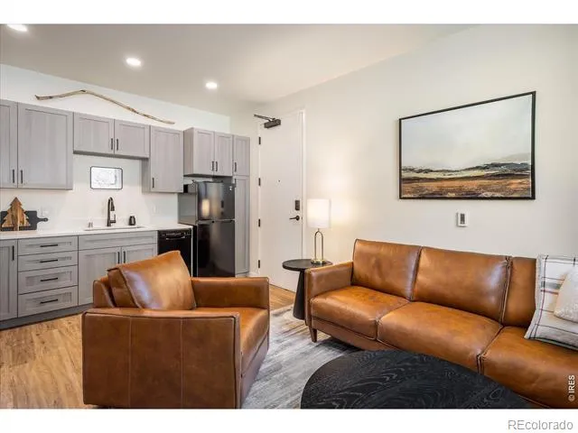 2121 Hummingbird Way #201 Georgetown, CO 80444