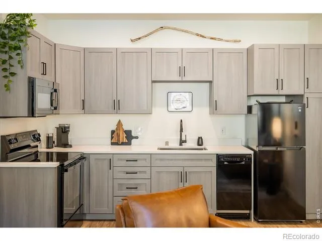 2121 Hummingbird Way #201 Georgetown, CO 80444