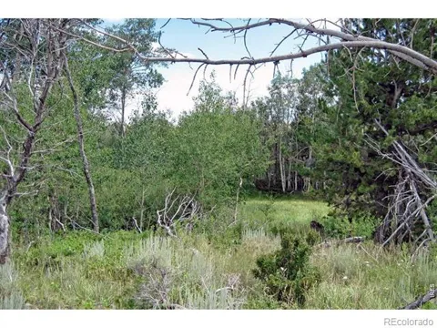 Wilderness Ranch Road