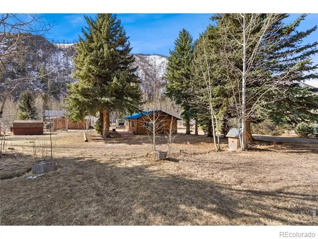 225 Meadow Lane Bellvue, CO 80512