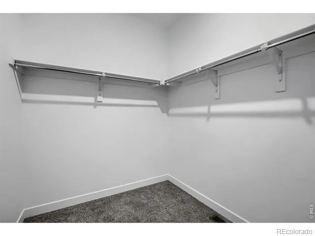 1662 Drumming Drive Windsor, CO 80550