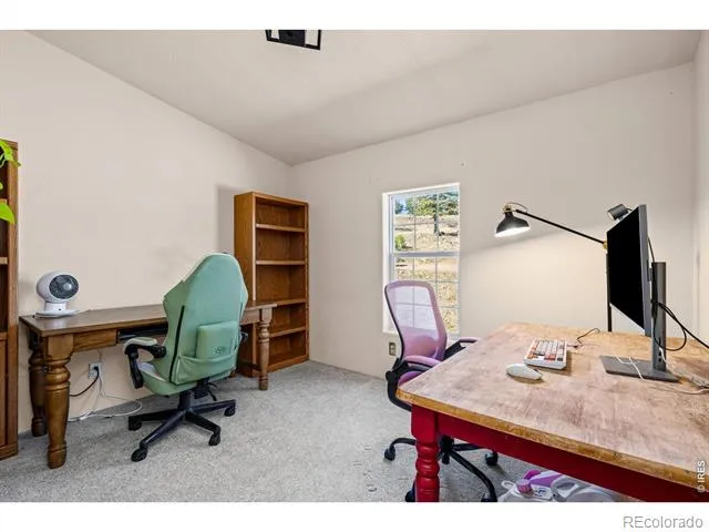 39 Mount Sherman Court Livermore, CO 80536