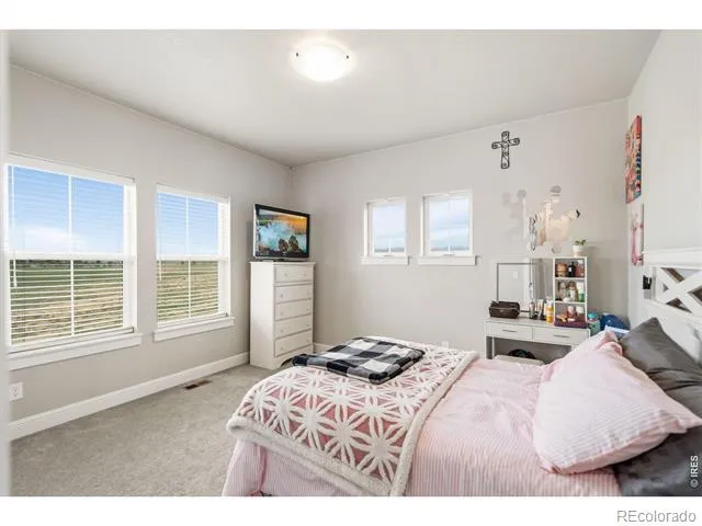1543 Stoneseed Street Berthoud, CO 80513