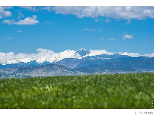 1543 Stoneseed Street Berthoud, CO 80513