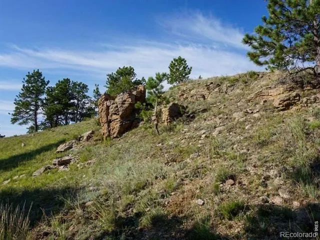 0 Stub Court Livermore, CO 80536