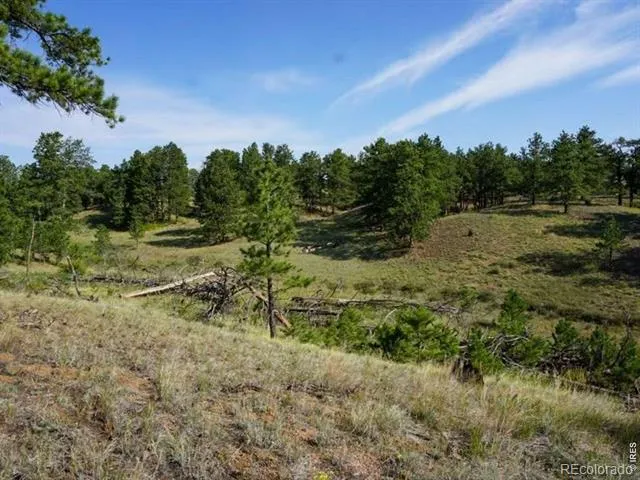 0 Stub Court Livermore, CO 80536