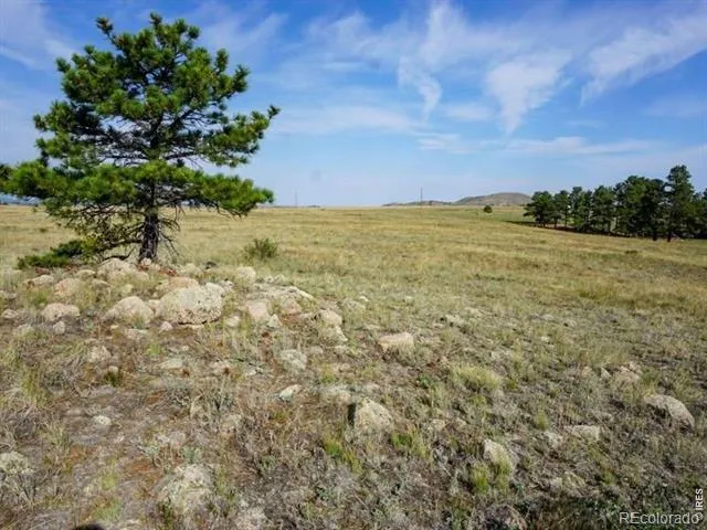0 Stub Court Livermore, CO 80536