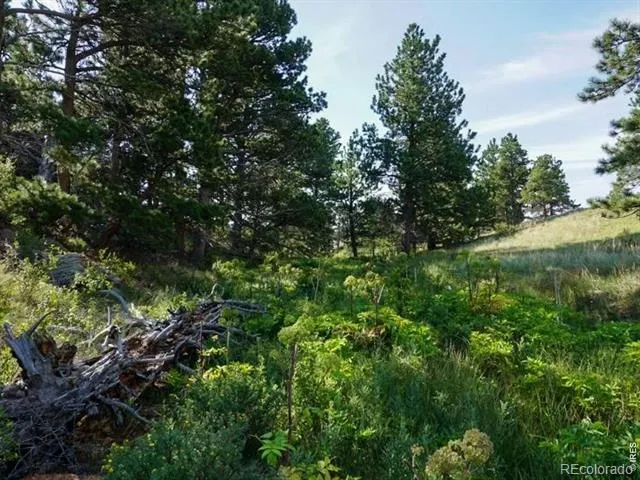 0 Stub Court Livermore, CO 80536