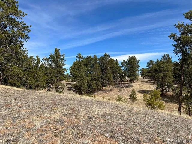 0 Stub Court Livermore, CO 80536