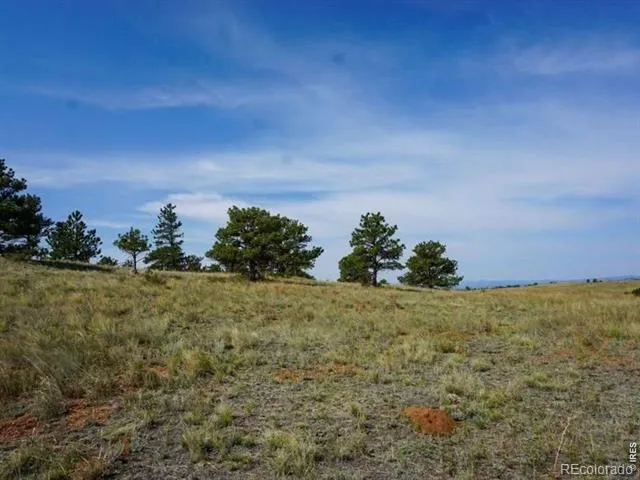 0 Stub Court Livermore, CO 80536