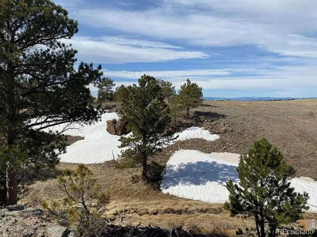 0 Stub Court Livermore, CO 80536