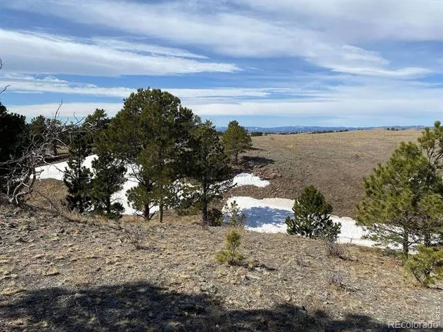 0 Stub Court Livermore, CO 80536