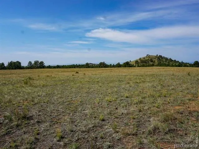 0 Stub Court Livermore, CO 80536