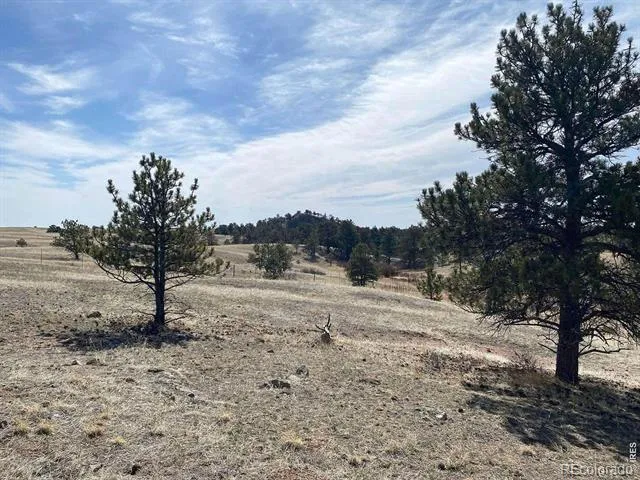 0 Stub Court Livermore, CO 80536