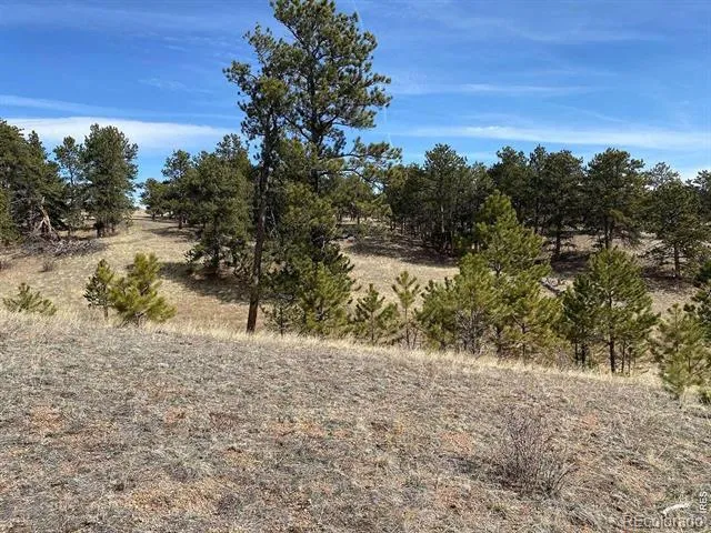 0 Stub Court Livermore, CO 80536