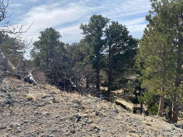 0 Stub Court Livermore, CO 80536