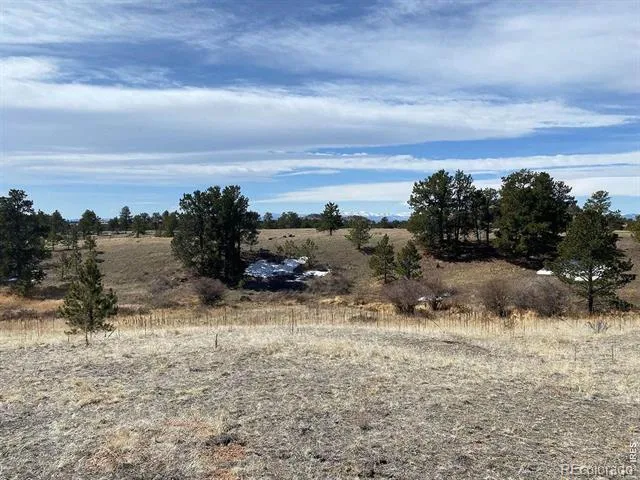 0 Stub Court Livermore, CO 80536