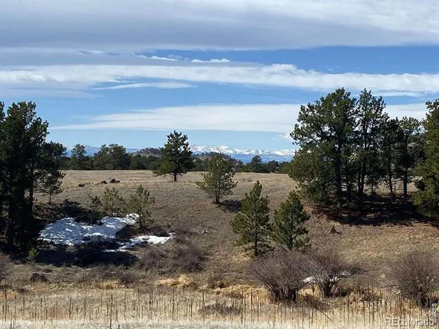 0 Stub Court Livermore, CO 80536