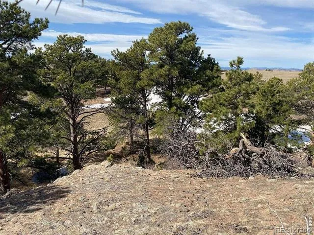 0 Stub Court Livermore, CO 80536