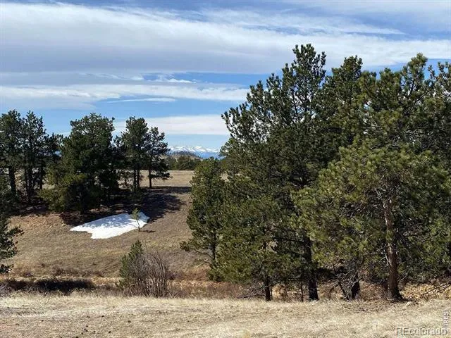 0 Stub Court Livermore, CO 80536