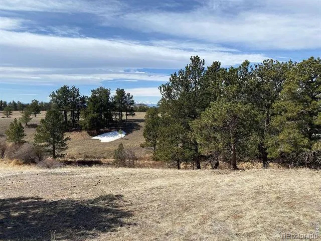 0 Stub Court Livermore, CO 80536