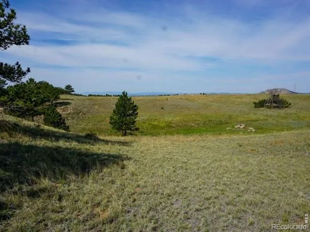 0 Stub Court Livermore, CO 80536