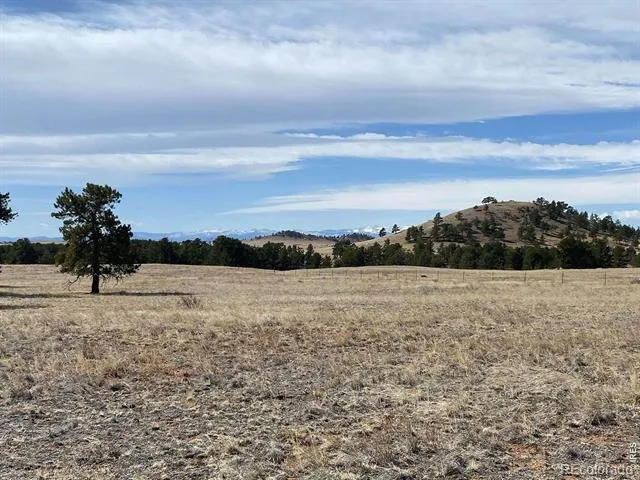 0 Stub Court Livermore, CO 80536