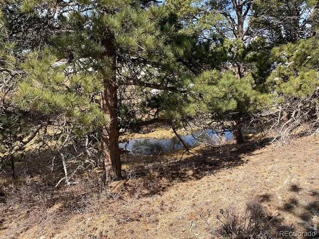 0 Stub Court Livermore, CO 80536