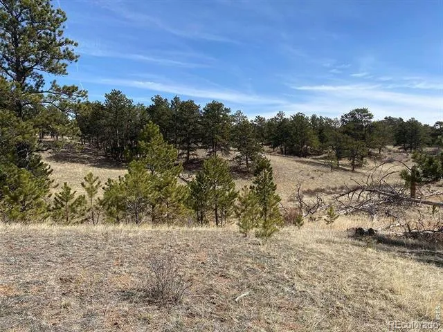 0 Stub Court Livermore, CO 80536