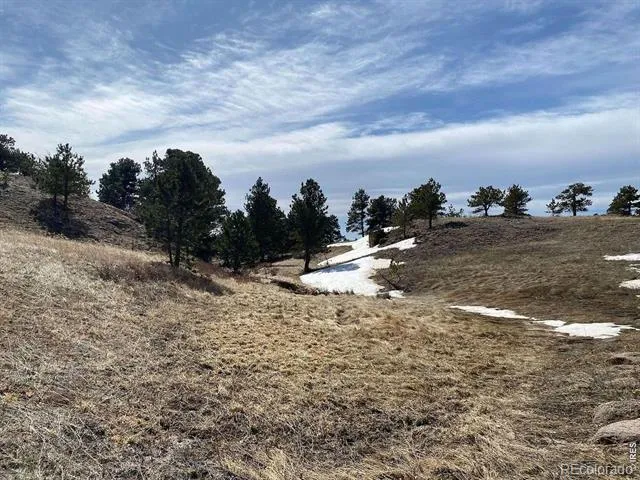 0 Stub Court Livermore, CO 80536