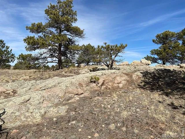 0 Stub Court Livermore, CO 80536