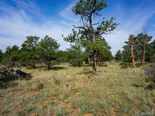 0 Stub Court Livermore, CO 80536