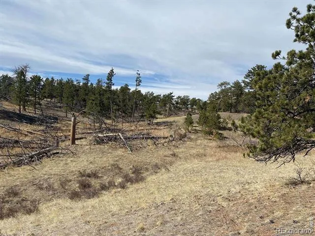 0 Stub Court Livermore, CO 80536