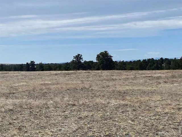 0 Stub Court Livermore, CO 80536