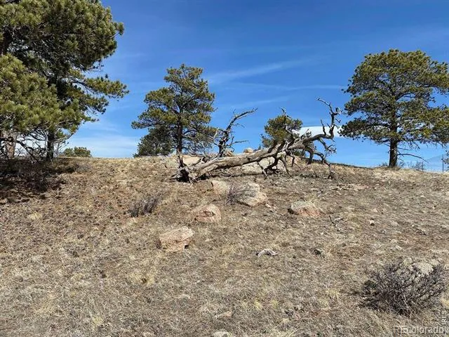 0 Stub Court Livermore, CO 80536