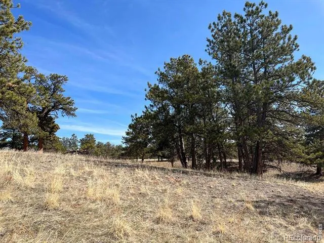 0 Stub Court Livermore, CO 80536