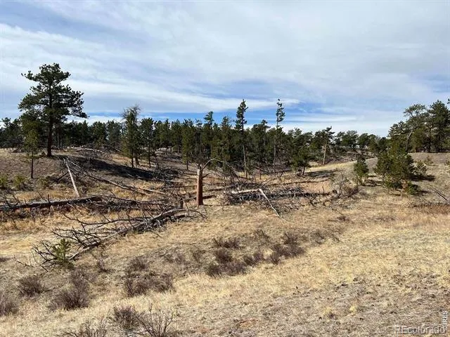 0 Stub Court Livermore, CO 80536