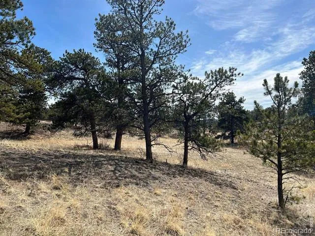 0 Stub Court Livermore, CO 80536
