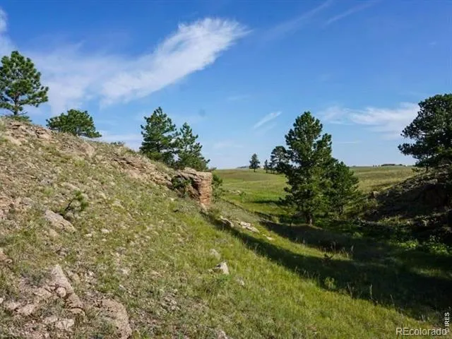 0 Stub Court Livermore, CO 80536