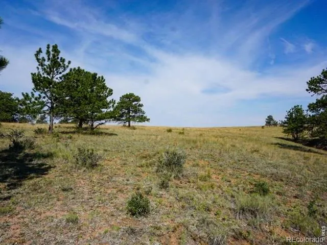 0 Stub Court Livermore, CO 80536