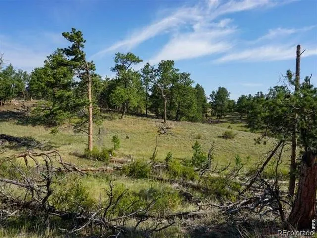 0 Stub Court Livermore, CO 80536